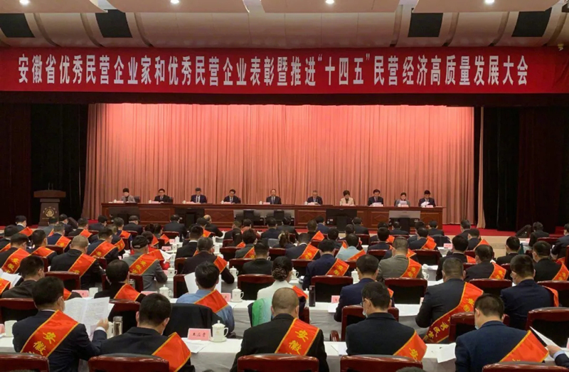 喜訊！元琛科技總經(jīng)理梁燕被授予“安徽省優(yōu)秀民營企業(yè)家”稱號(hào)